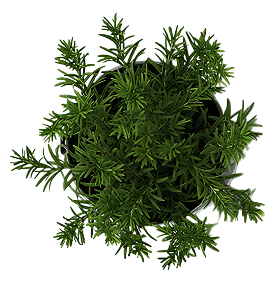 About Garden of Life